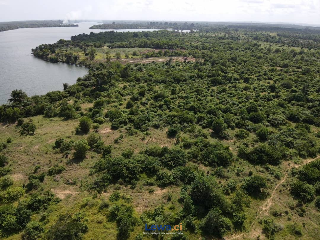 Terrain de 2000 hectares avec TFA