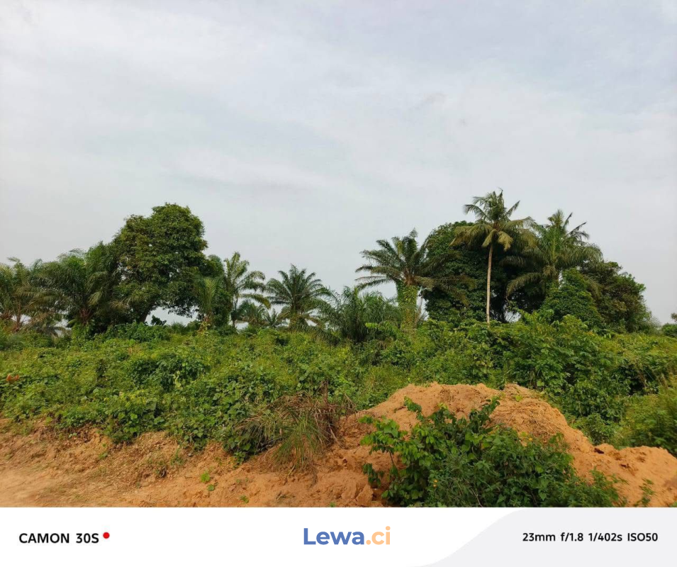 Terrain de 600m² à biens en vente à Anyama : 6 millionsFCFA - Demarcho.ci : Terrain à vendre à Anyama. Prix : 6 000 000 FCFA prix de vente. 600 m².