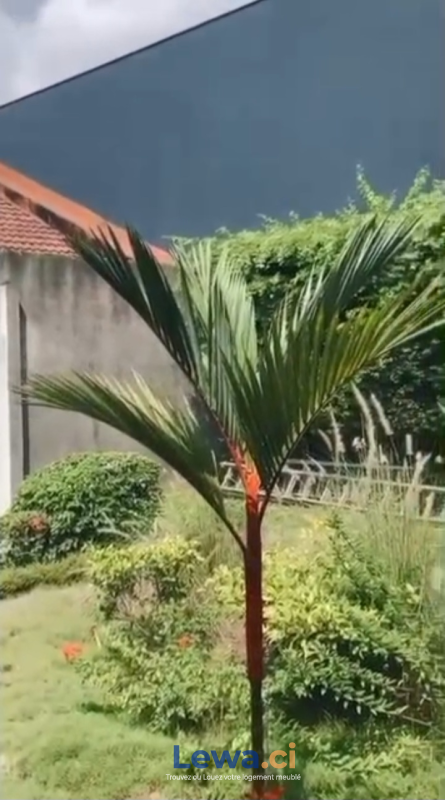 Salon de l'appartement