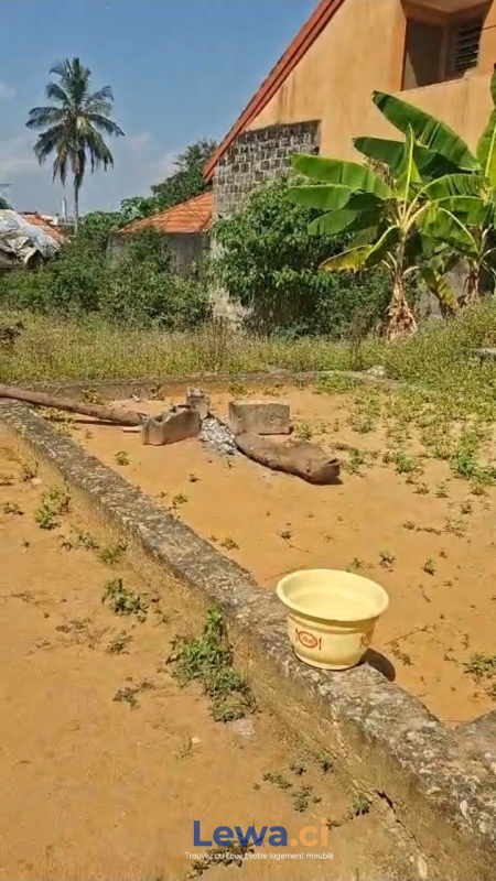 Salon de l'appartement