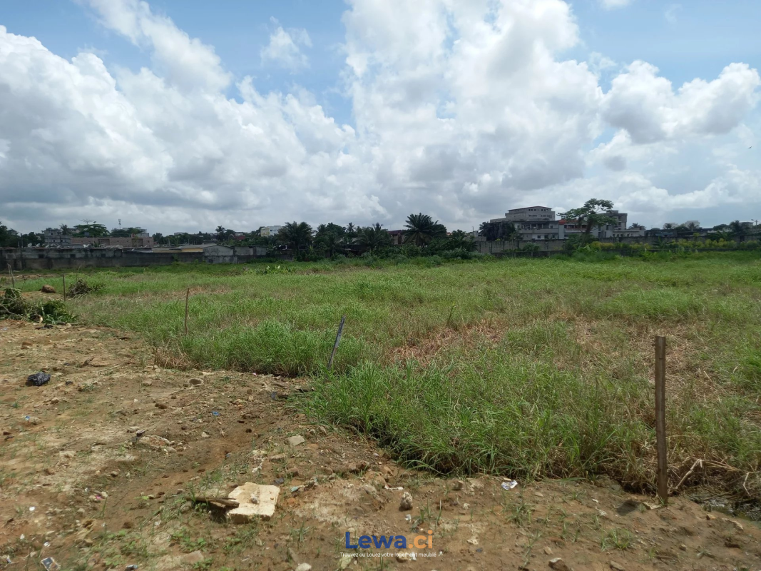 Salon de l'appartement