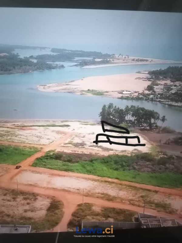 Salon de l'appartement