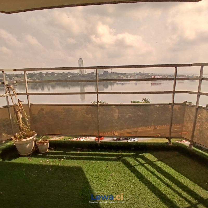 Salon de l'appartement