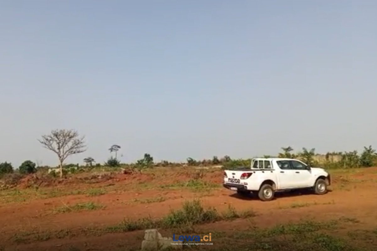 Salon de l'appartement
