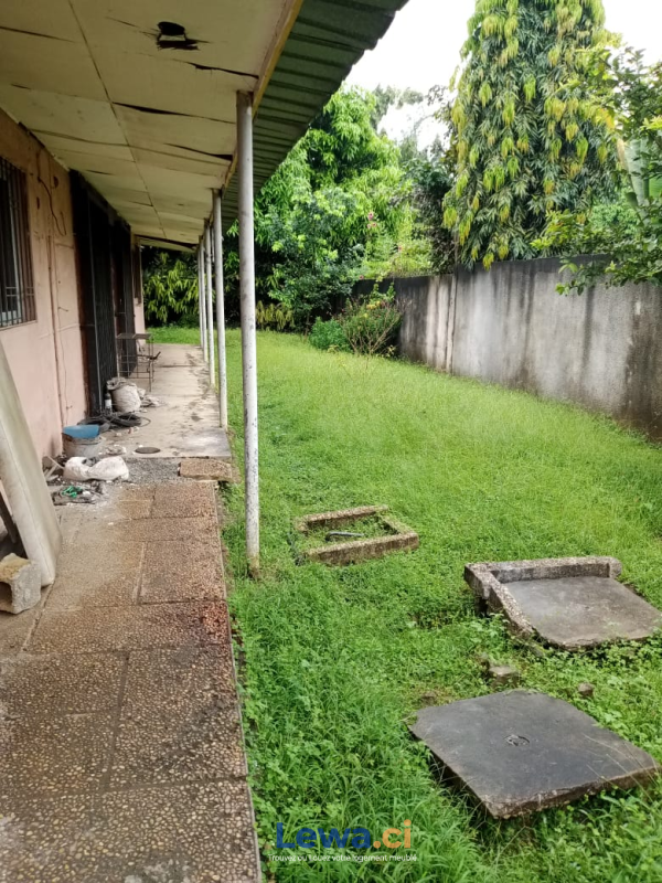 Salon de l'appartement