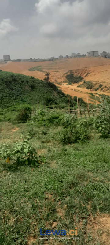 Salon de l'appartement