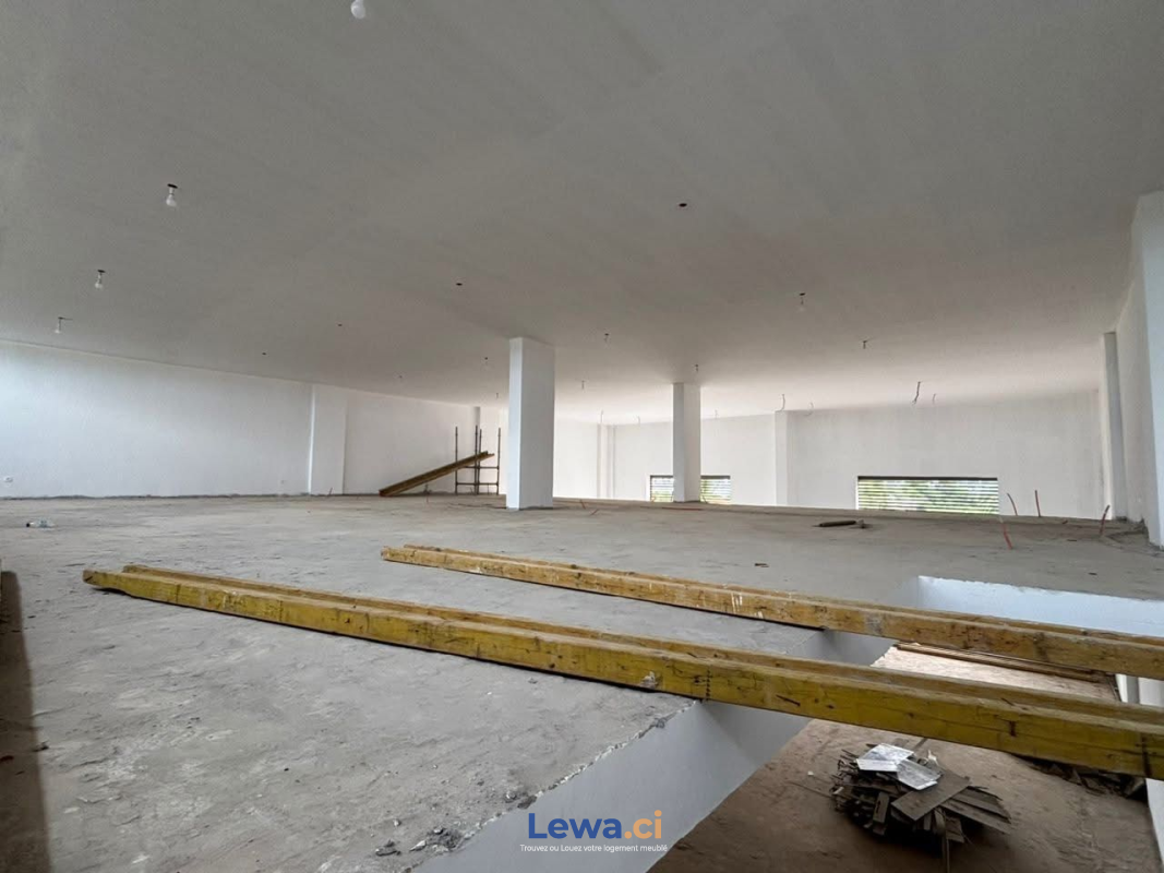 Salon de l'appartement