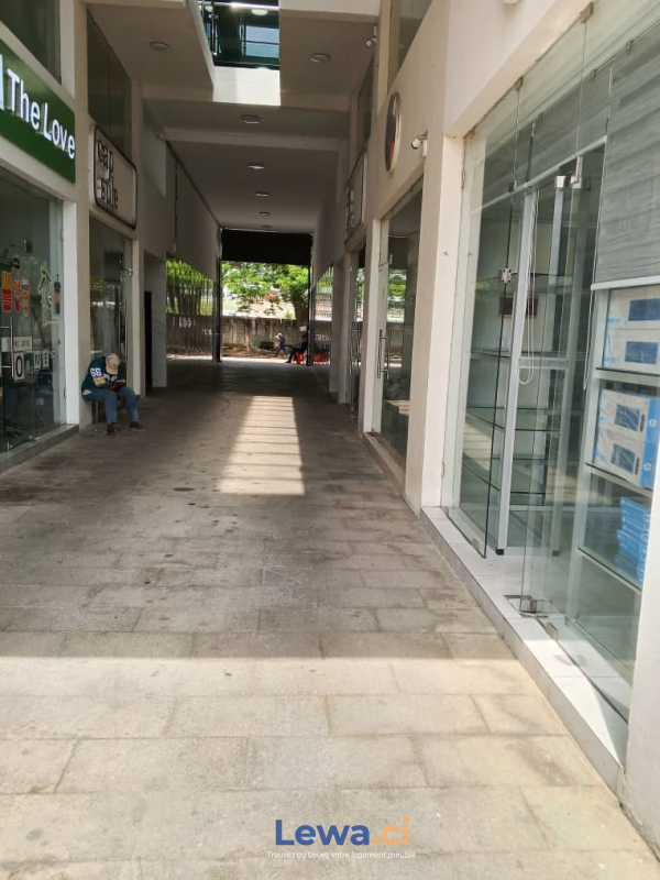 Salon de l'appartement