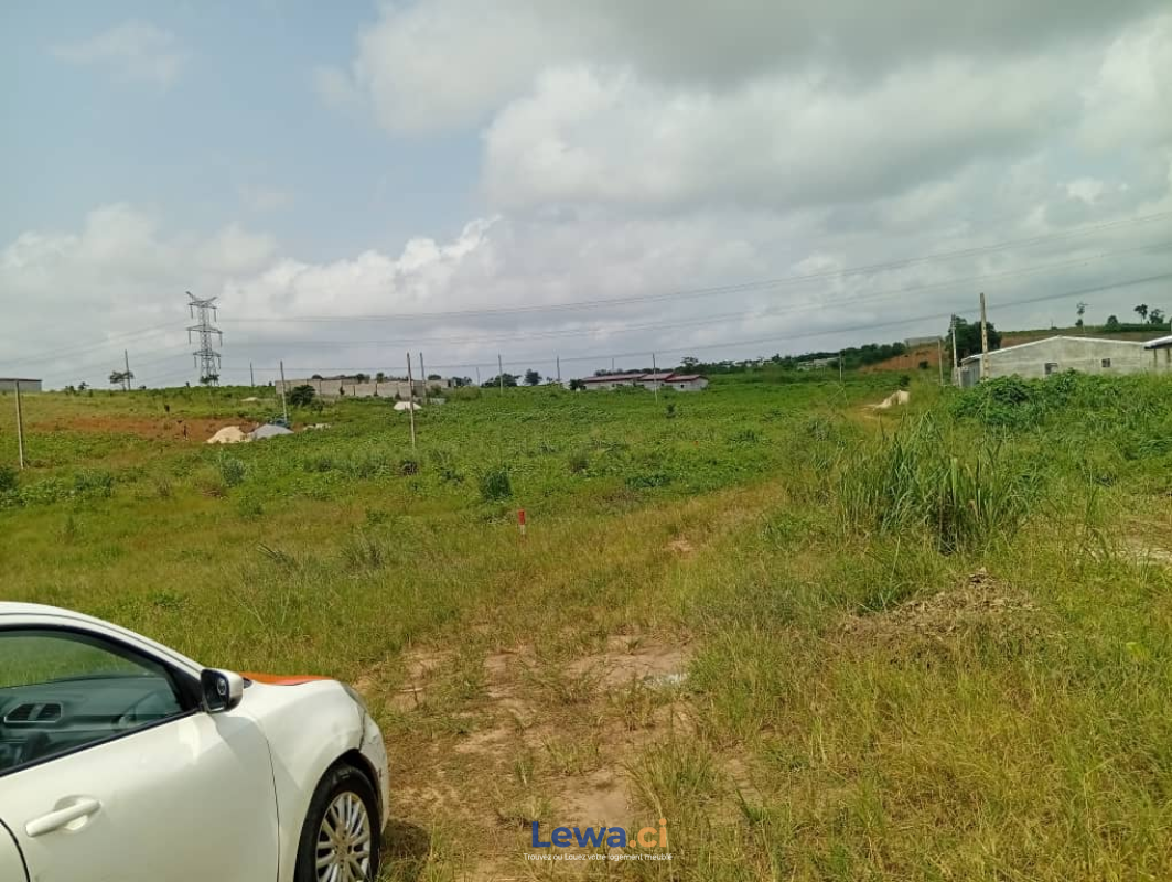 Image principale du bien : TERRAIN À VENDRE – SONGON ADOKOI