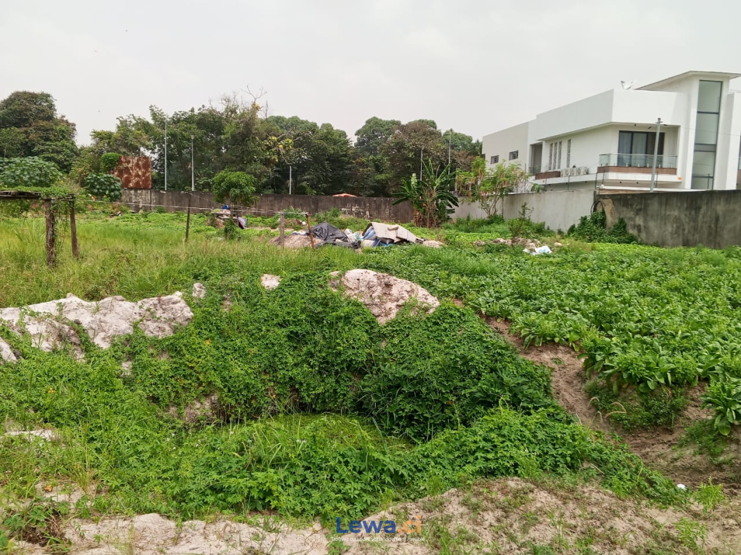 Salon de l'appartement