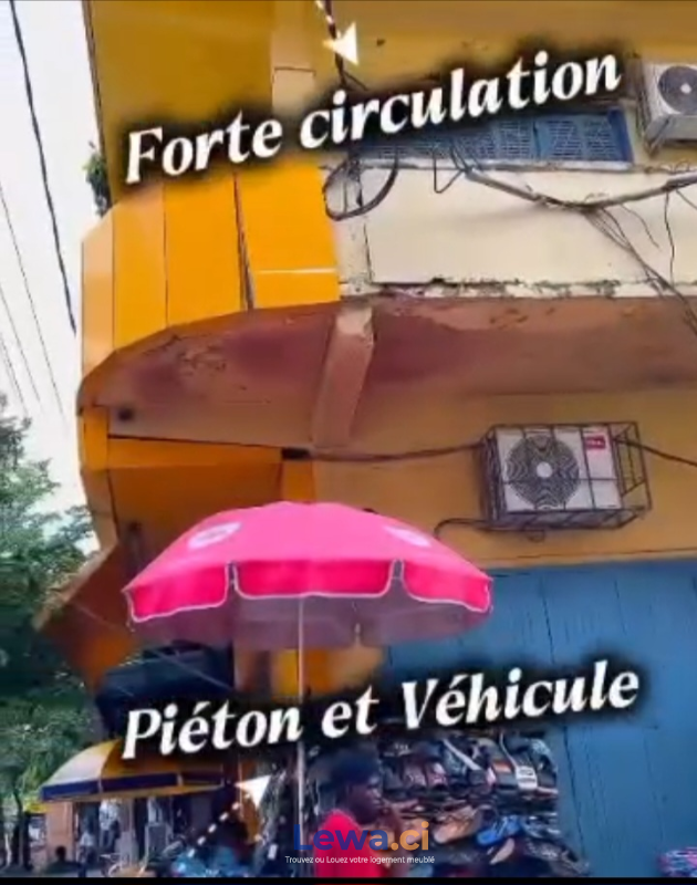 Salon de l'appartement
