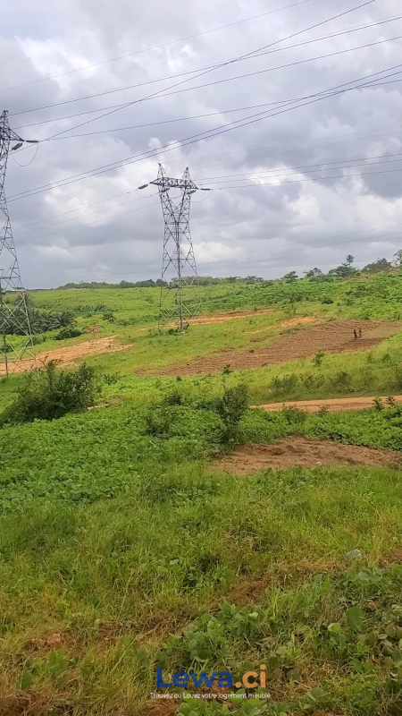 Salon de l'appartement