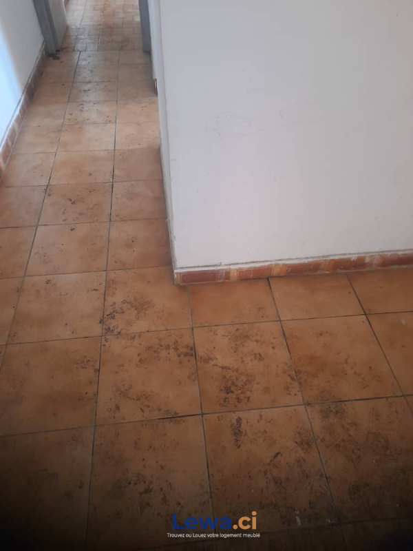 Salon de l'appartement