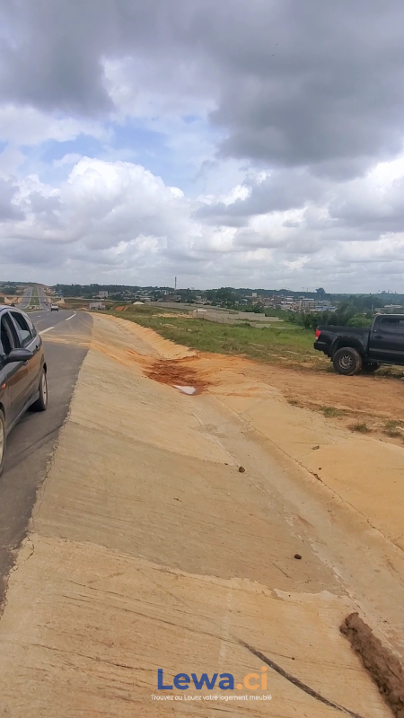 Salon de l'appartement