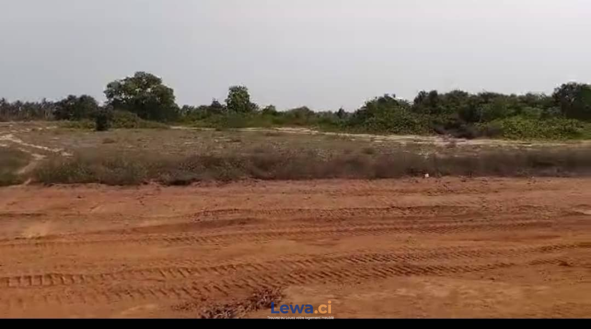 Salon de l'appartement