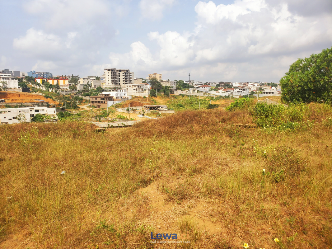 Salon de l'appartement