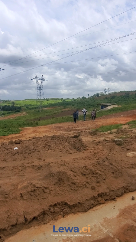 Salon de l'appartement