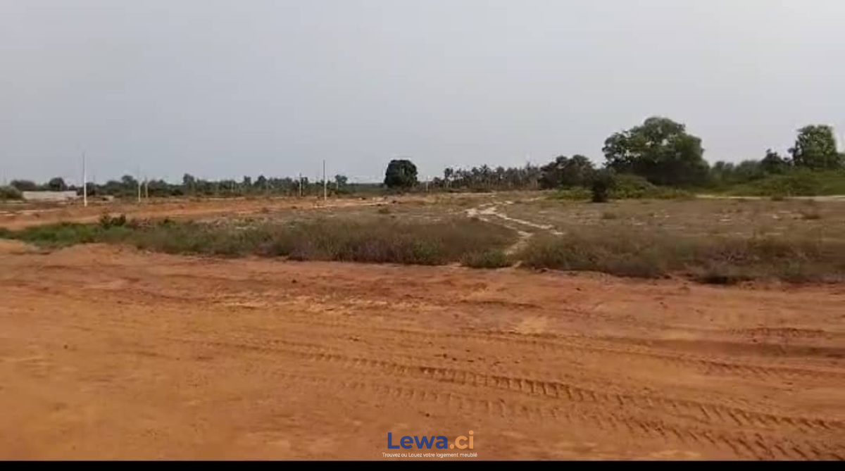 Salon de l'appartement