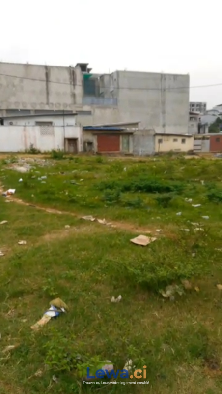 Salon de l'appartement