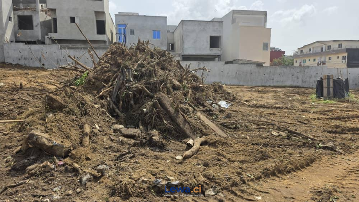 Salon de l'appartement