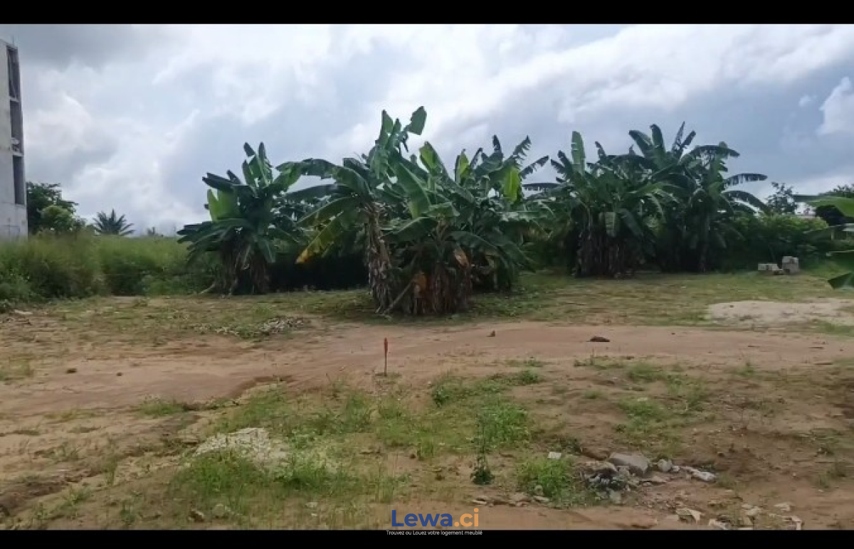 Terrain avec ACD en vente à songon