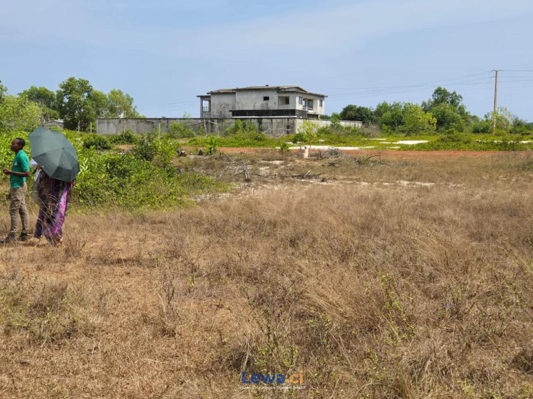 Salon de l'appartement