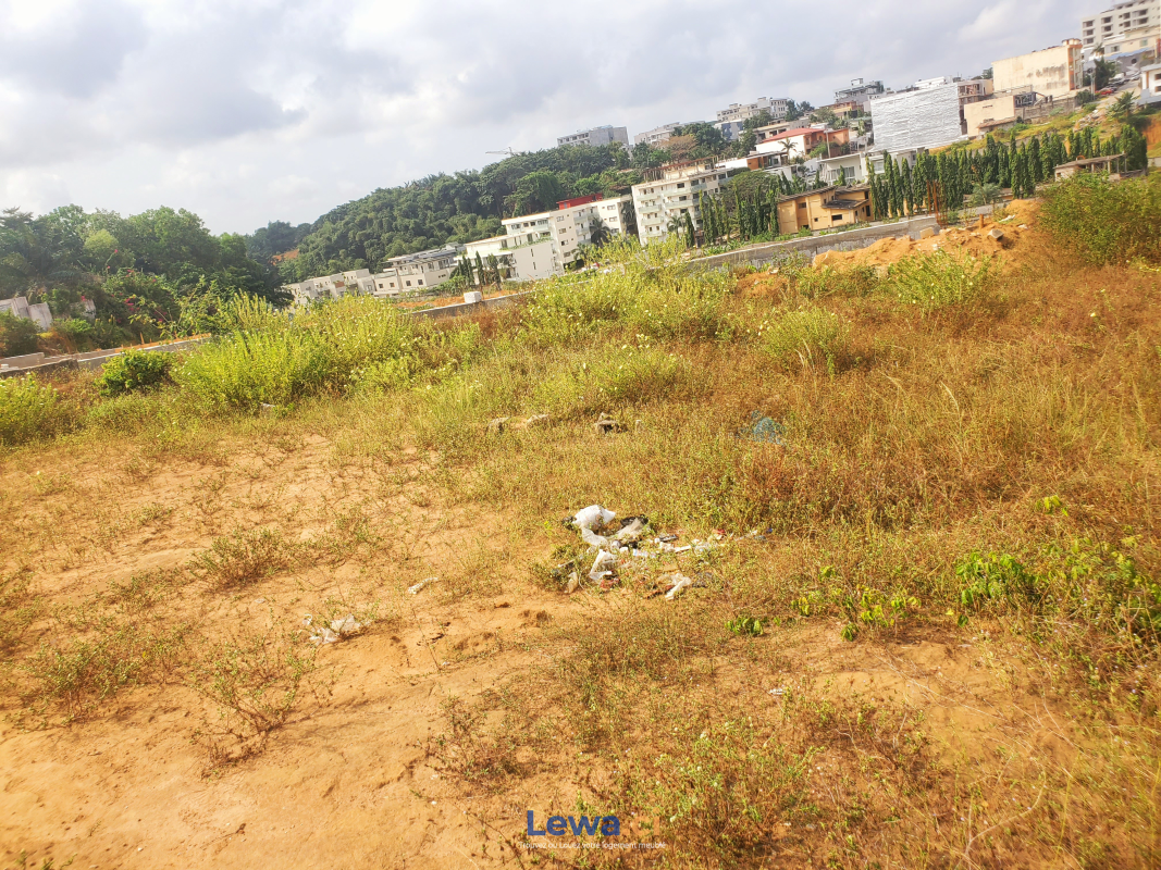 Salon de l'appartement