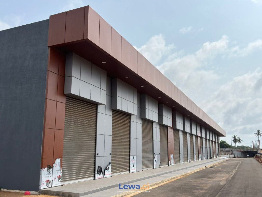 Salon de l'appartement