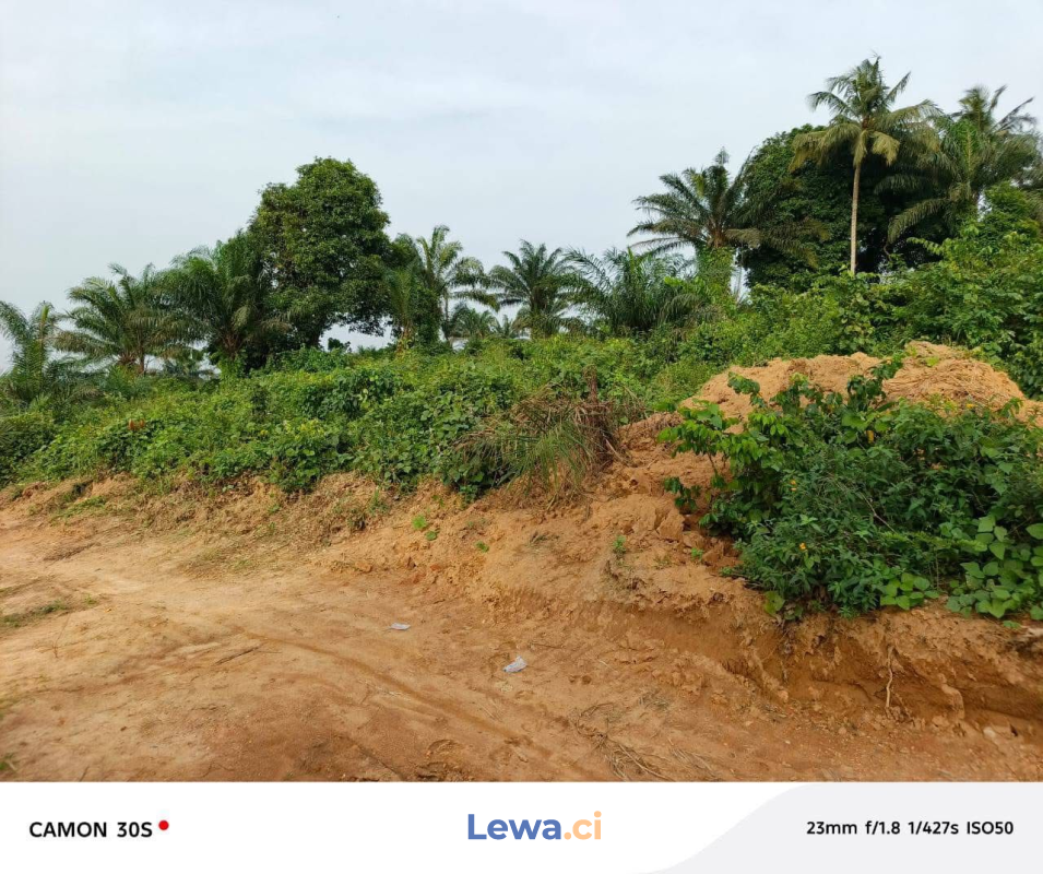 Salon de l'appartement