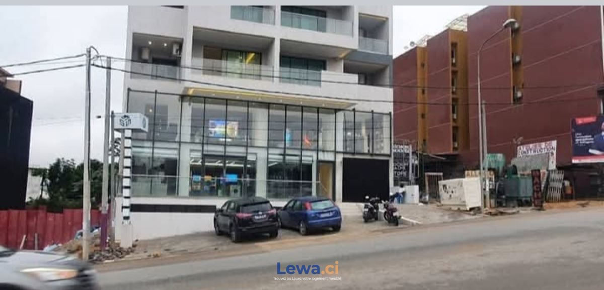 Salon de l'appartement