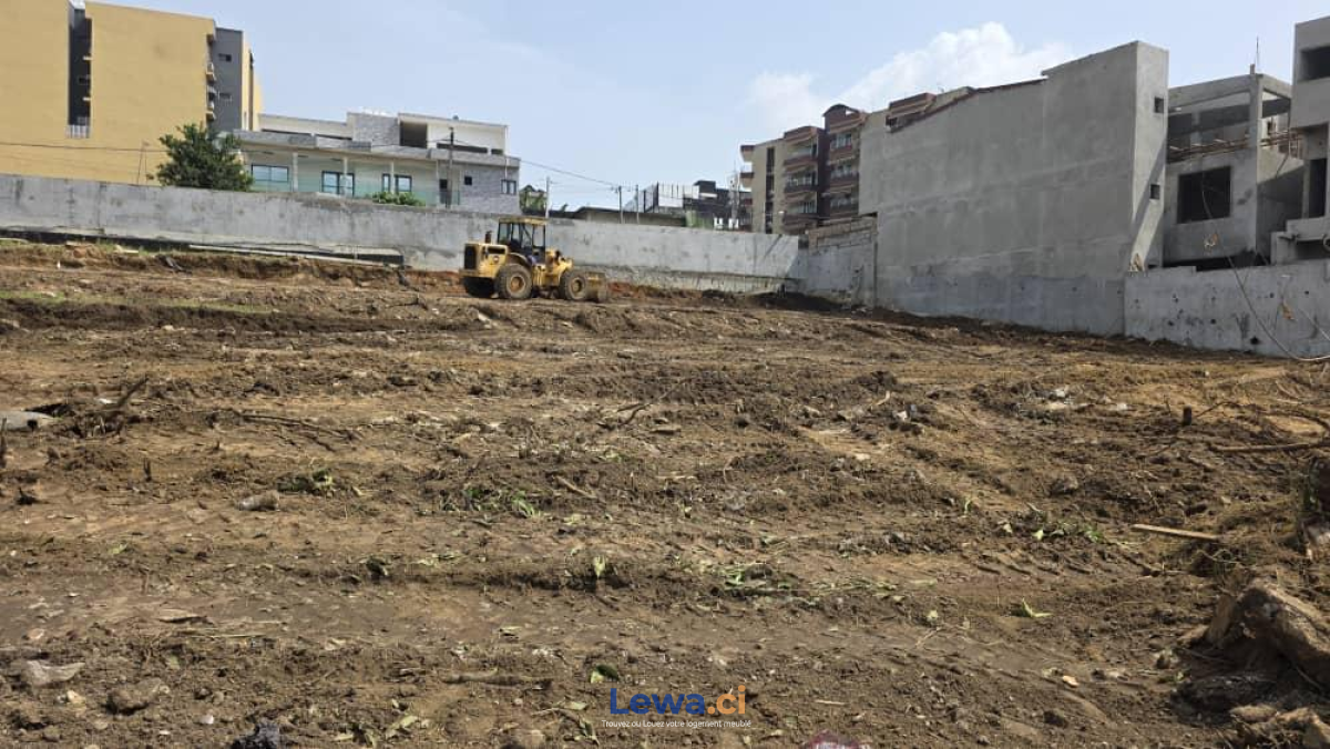 Salon de l'appartement