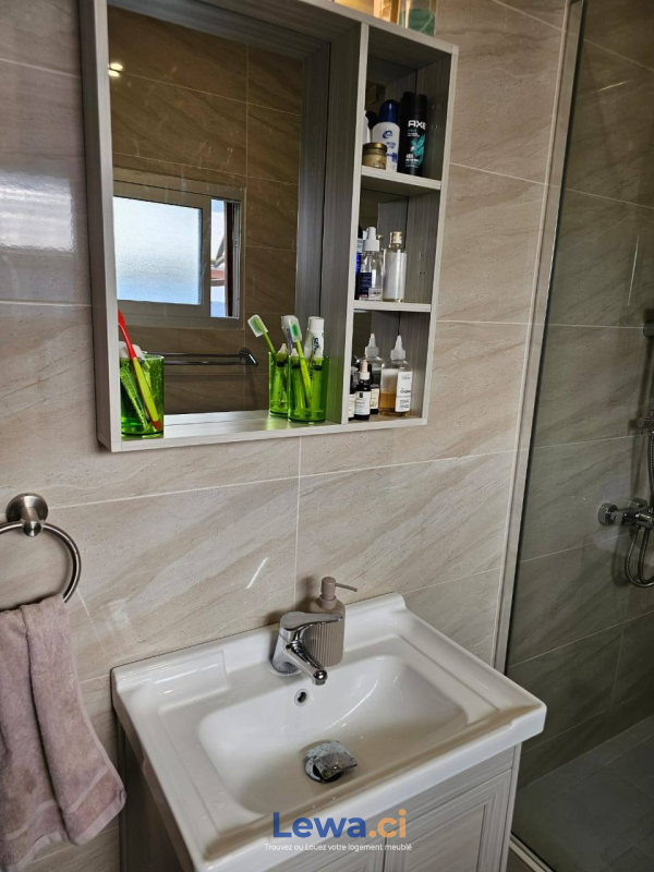 Salon de l'appartement