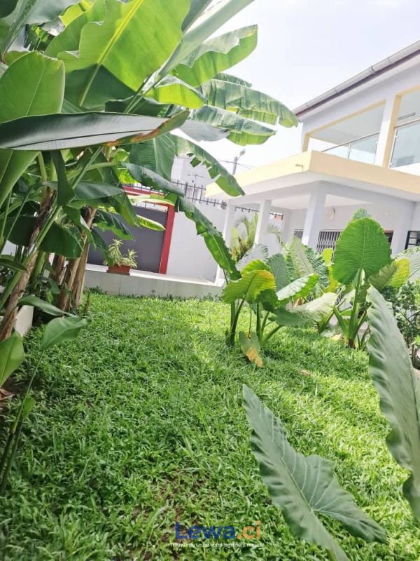 Image principale du bien : DUPLEX EN LOCATION