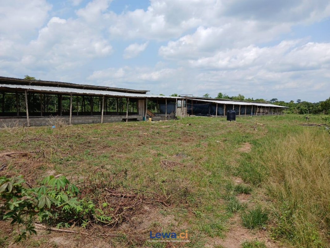 Salon de l'appartement