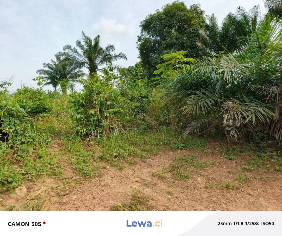 Image principale du bien : TERRAIN  À VENDRE