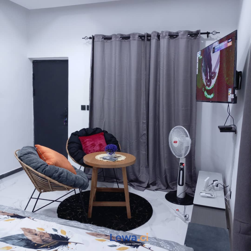 Salon de l'appartement