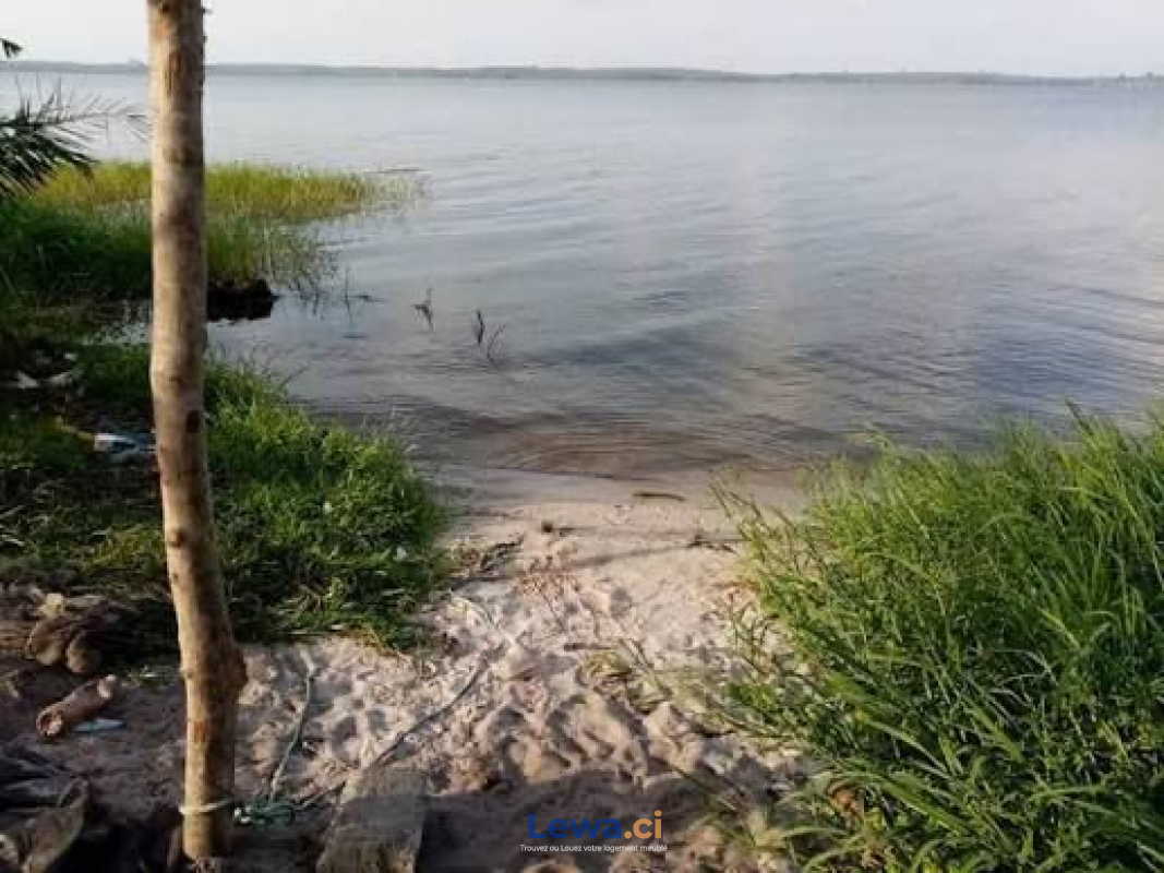 Image principale du bien : 34 hectares