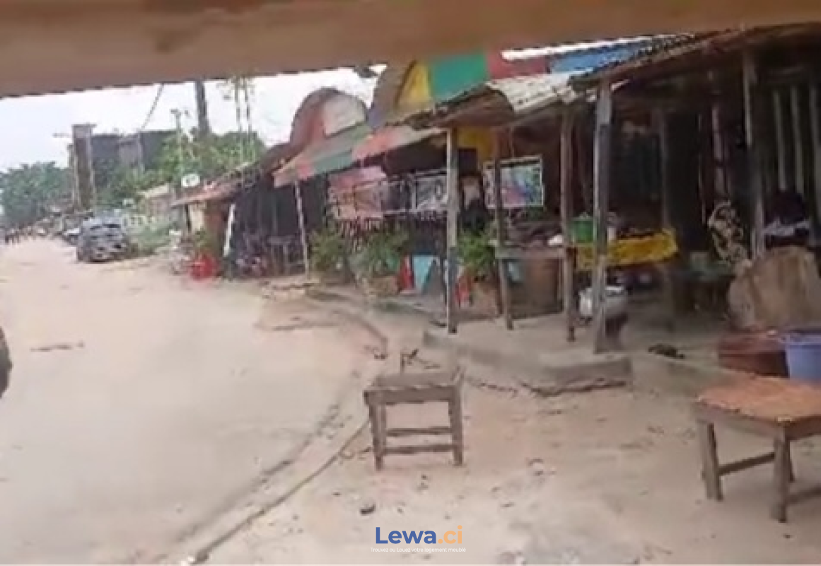 Salon de l'appartement