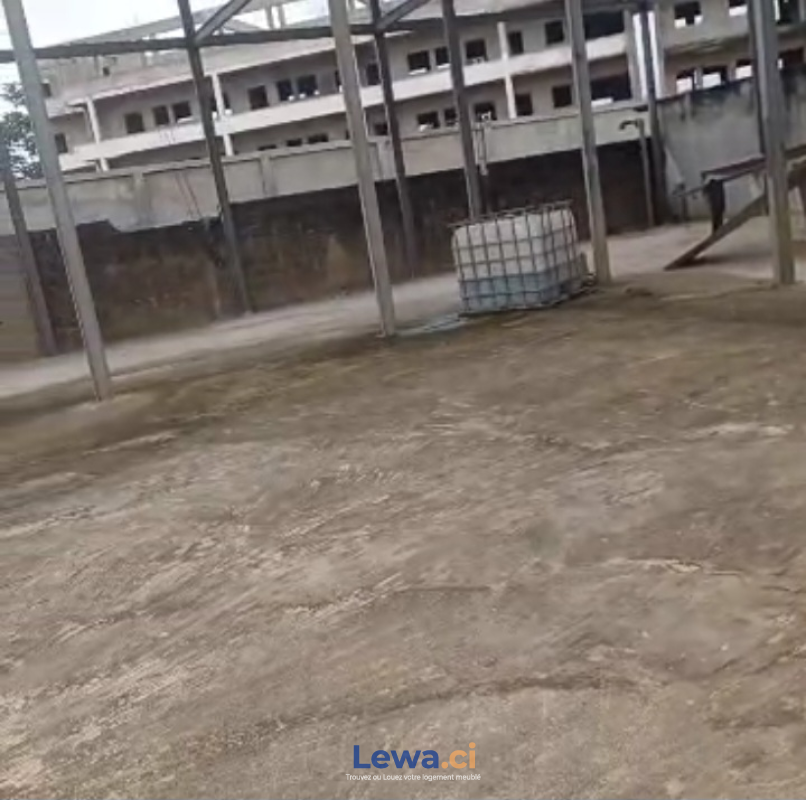 Salon de l'appartement