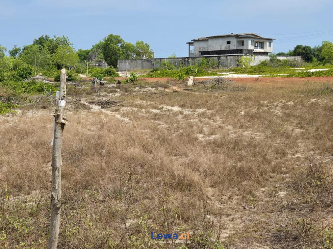 Image principale du bien : Terrain à Assinie
