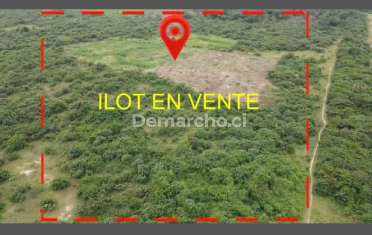 Image principale du bien : Terrains à vendre à Île Boulay
