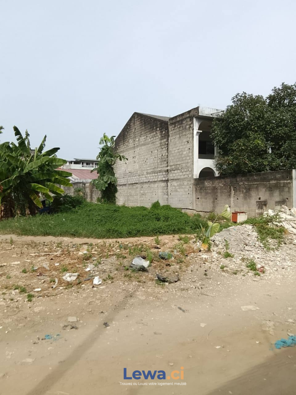 Salon de l'appartement