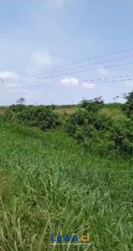 Salon de l'appartement