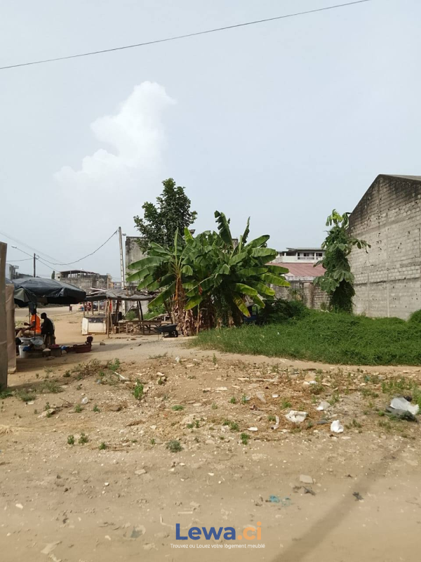 Salon de l'appartement