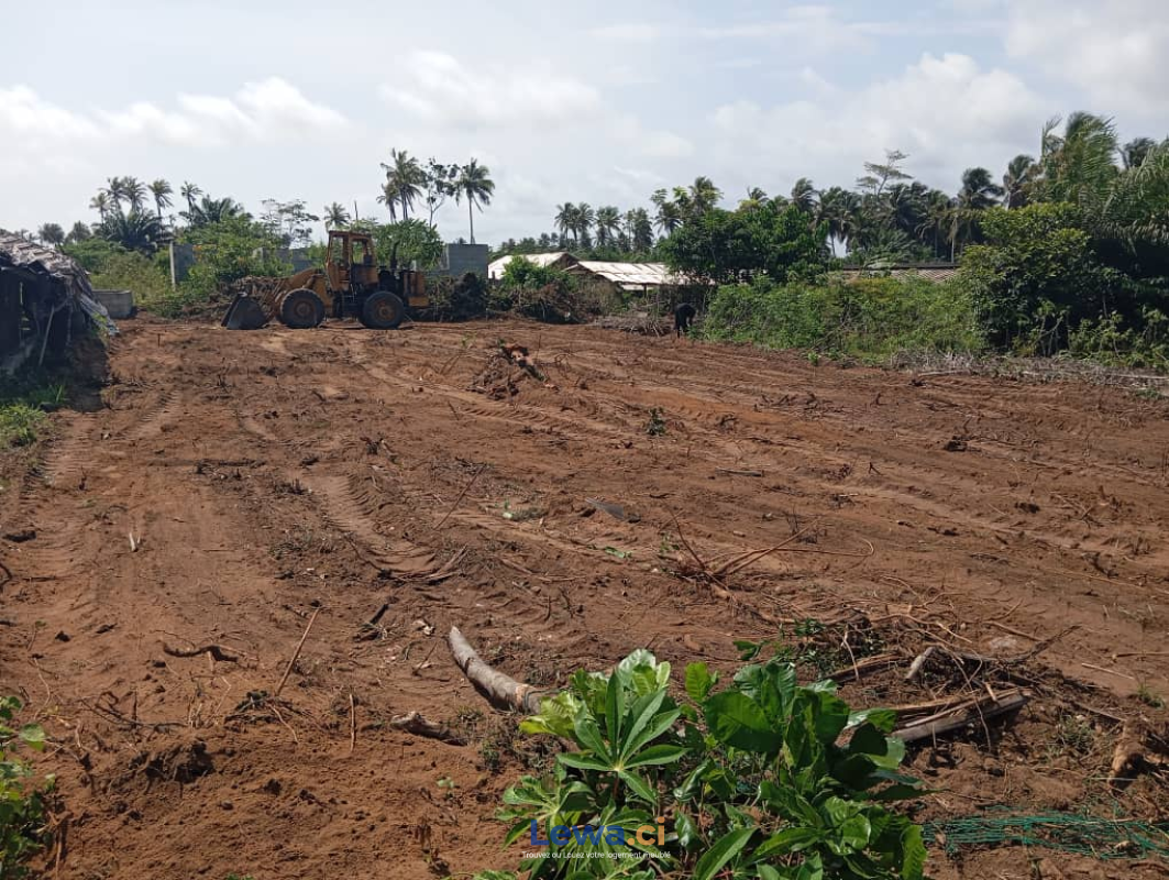 terrain de 400m2 à 200m du bitume