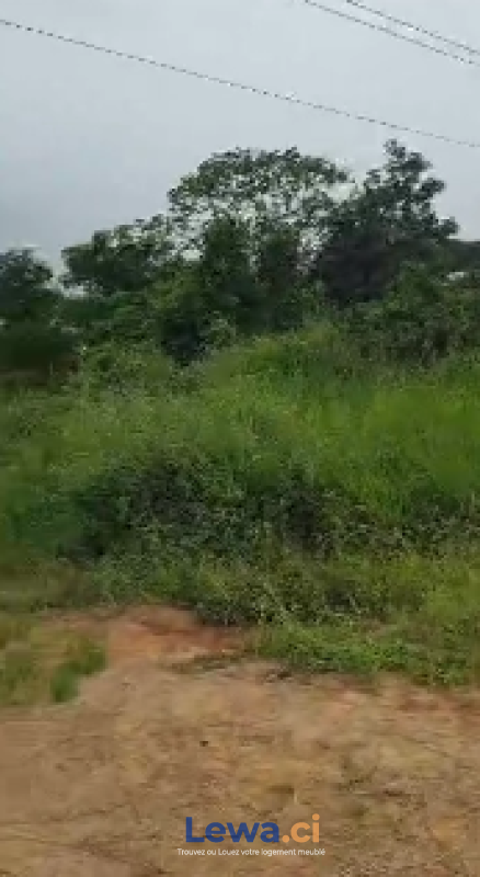 Salon de l'appartement