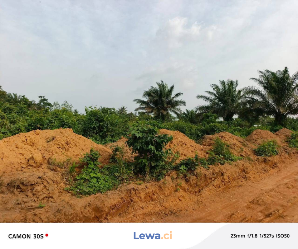 Terrain de 600m² à biens en vente à Anyama : 6 millionsFCFA - Demarcho.ci : Terrain à vendre à Anyama. Prix : 6 000 000 FCFA prix de vente. 600 m².