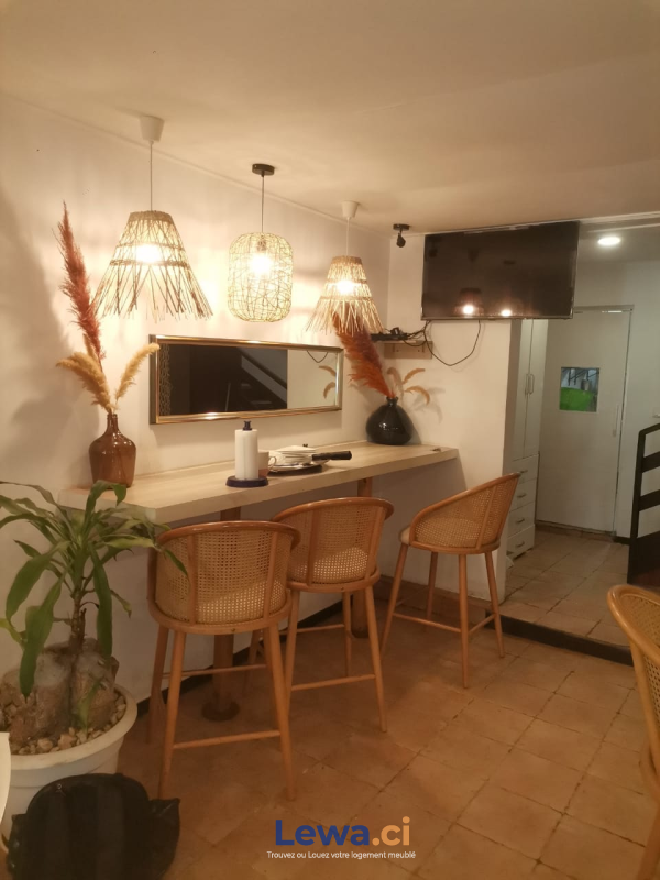 Salon de l'appartement