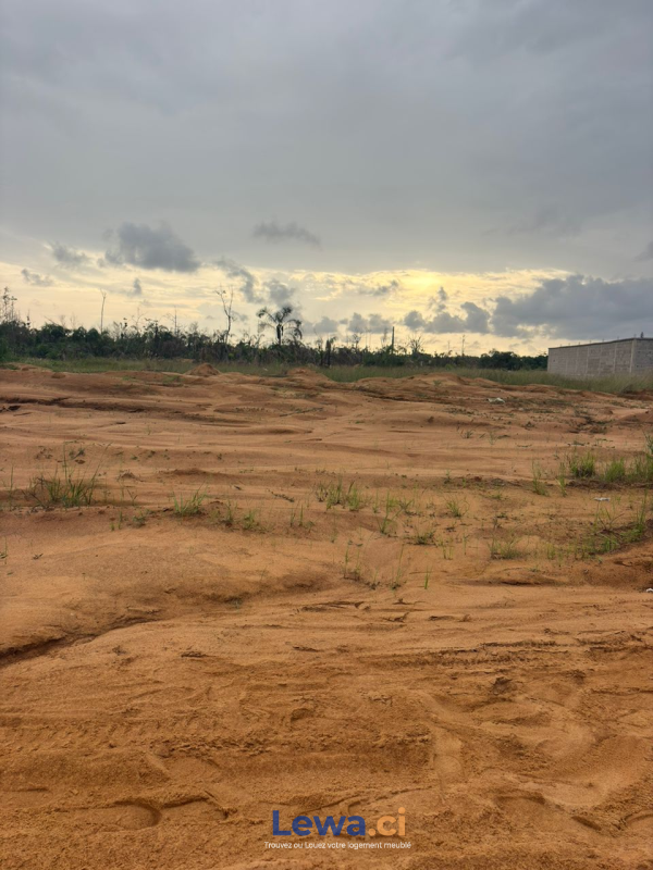 Image principale du bien : TERRAIN A YAOU