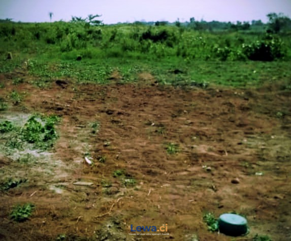Image principale du bien : Terrain nu